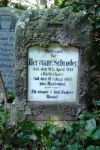 Hermann Schroeder.jpg